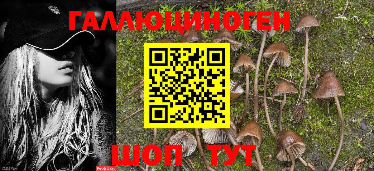 Сатка  Псилоцибиновые грибы Psilocybine cubensis  Вход с VPN 